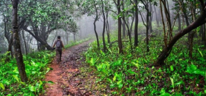 History Webinar Series-2 ‘Evolution of forest policy in India with special focus on Kerala’